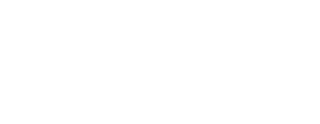 Sber logo