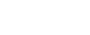 Sber logo